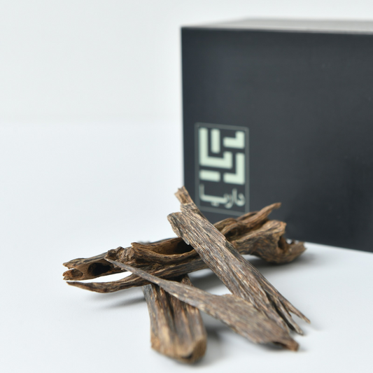 Chocolate Zora - Daily use